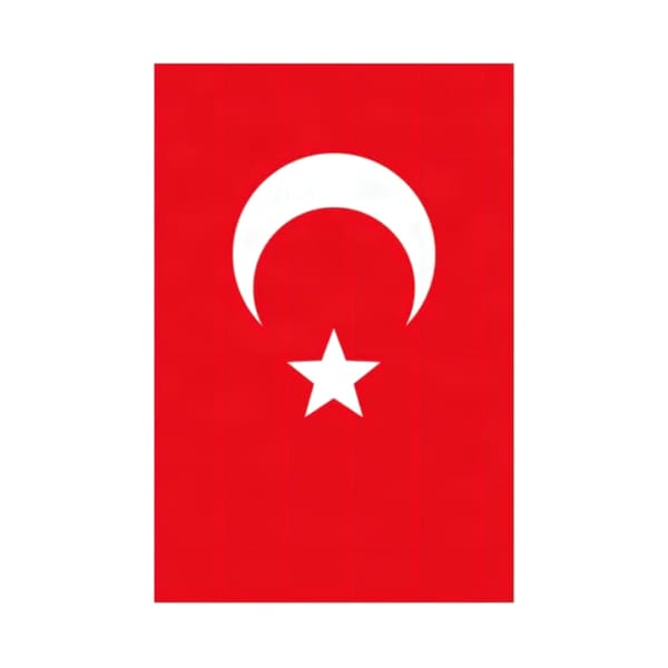 Buket sopalı yirmi otuz santimetre eko Türk bayrağı görünümü