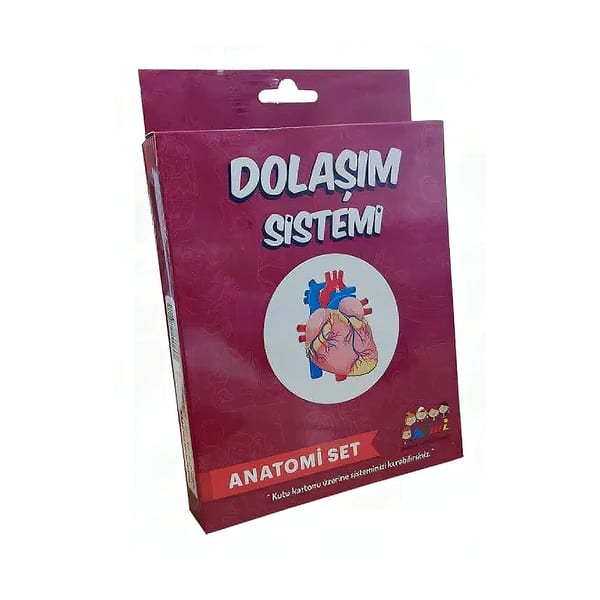 Kiwi Dolaşım sistemi çalışmasının kurulu model düzeneği duruşu